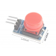 Large Button Module Red